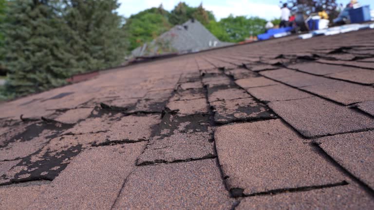 Best Roofing for New Construction  in Hamlin, TX