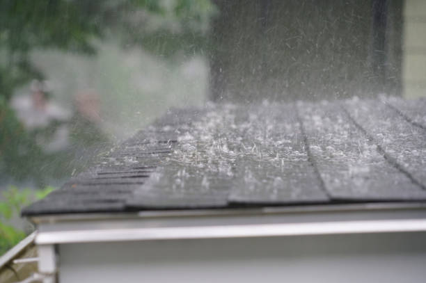 Best Roof Maintenance and Cleaning  in Hamlin, TX