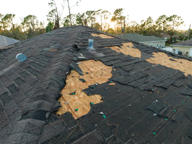 Best Asphalt Shingle Roofing  in Hamlin, TX