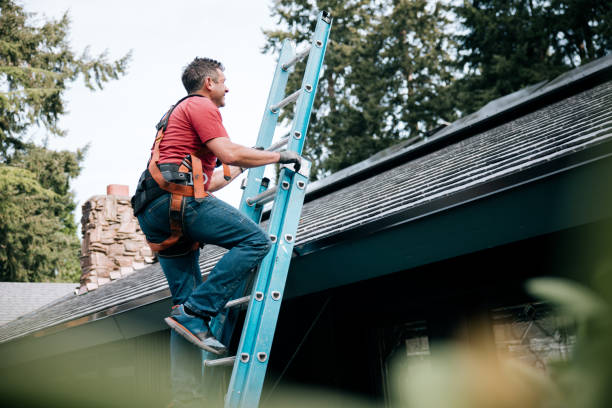 Best Roof Moss and Algae Removal  in Hamlin, TX